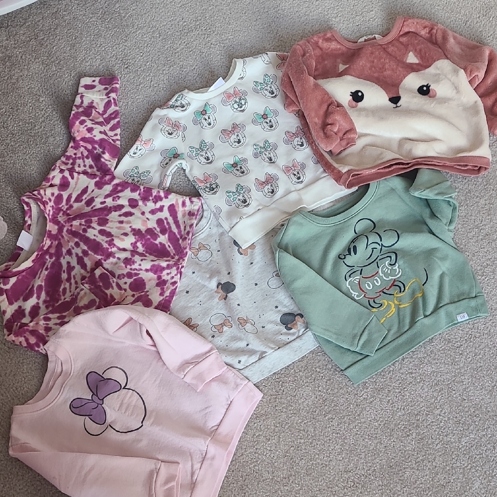 Girl Toddler Fleece Lined Sweatshirts Bundle- Minnie/Mickey Mouse, Fox & Tie Dye